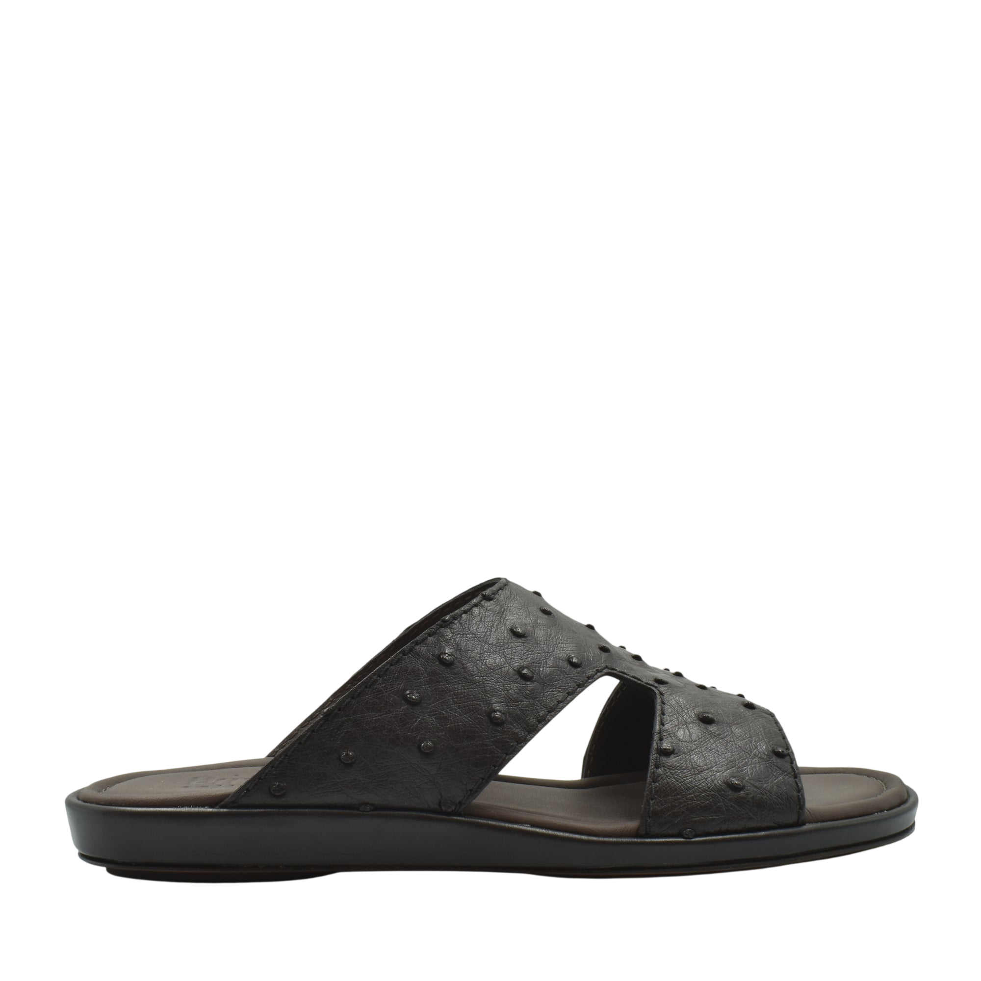 Prestige Arca Ostrich