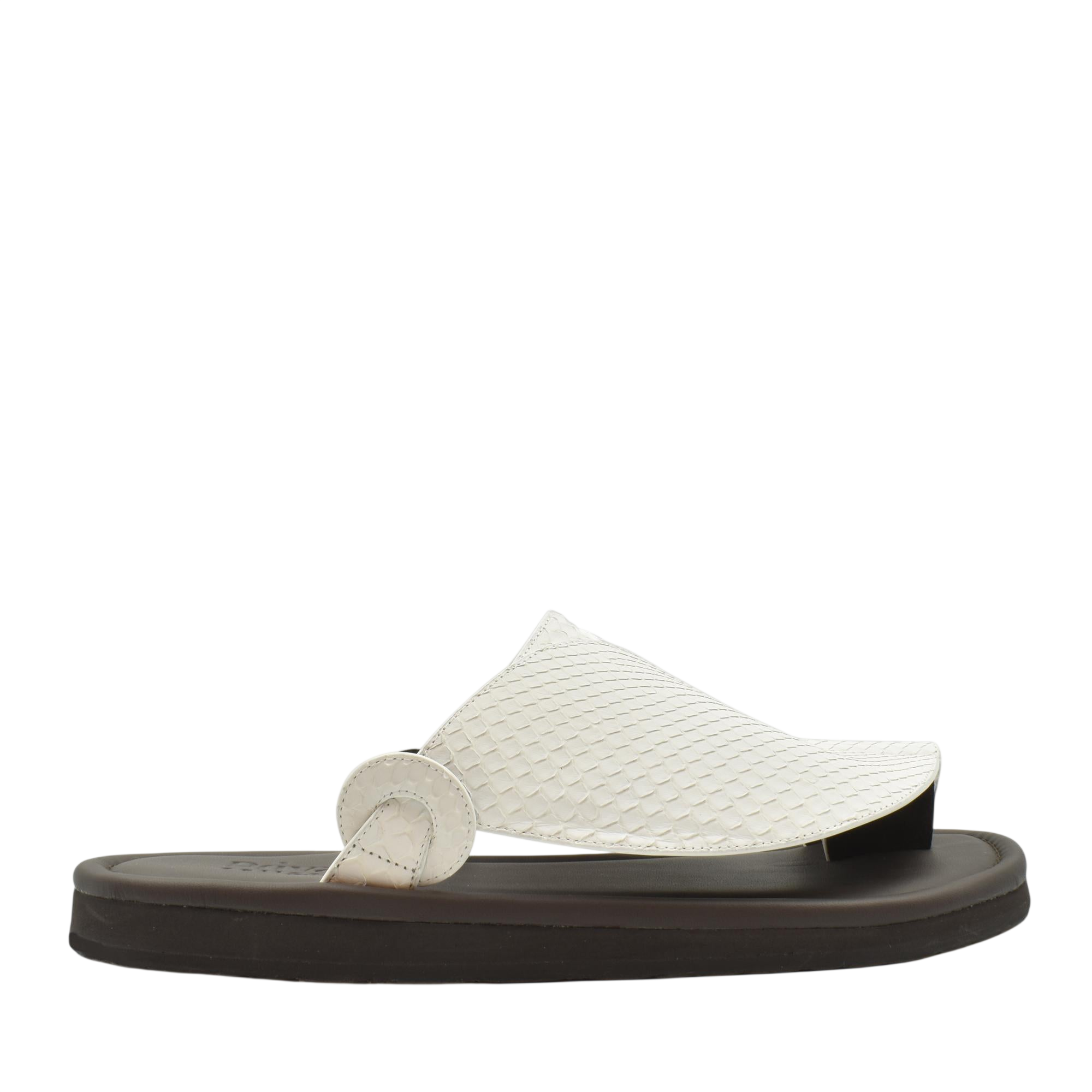 Piatto Vela Python
