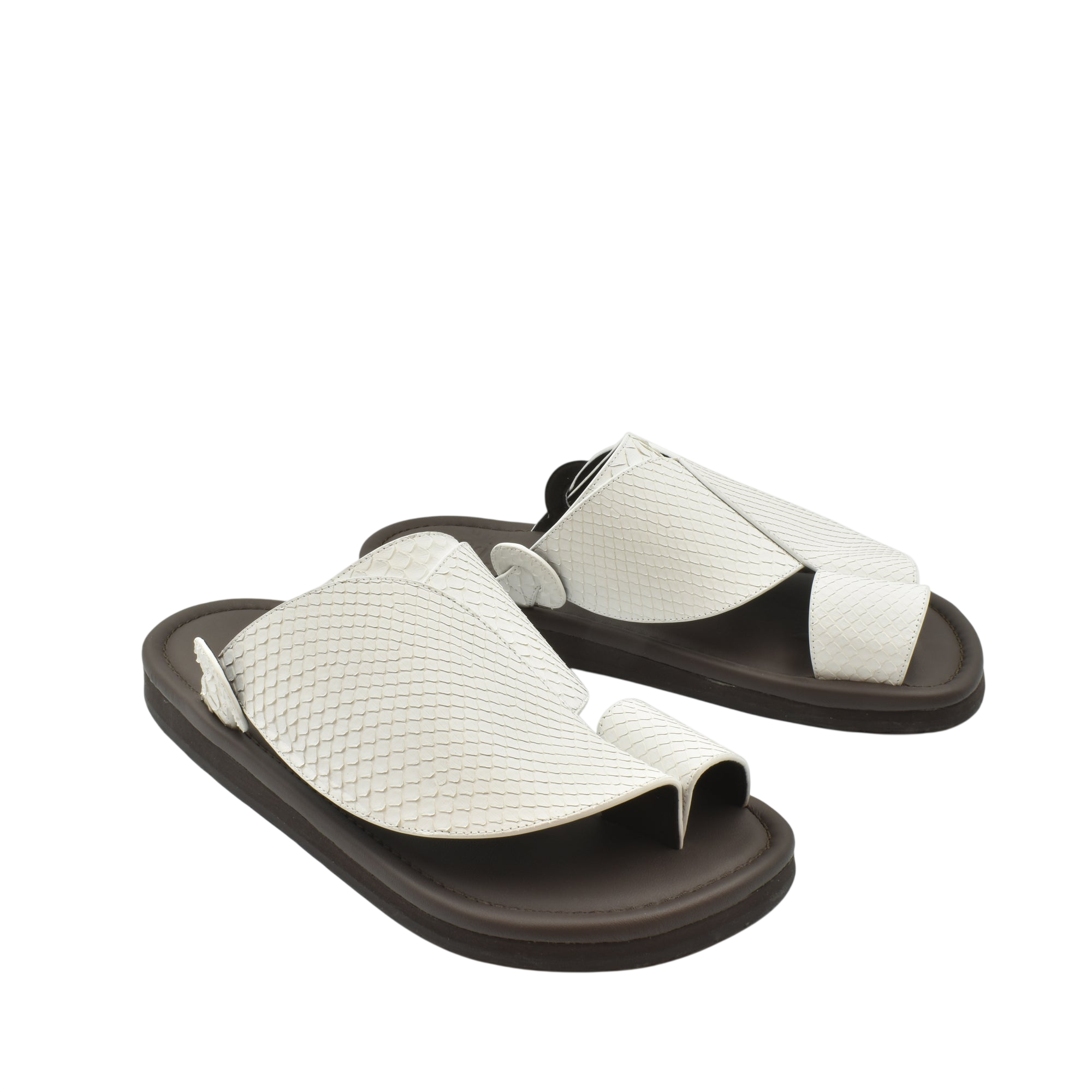 Piatto Vela Python