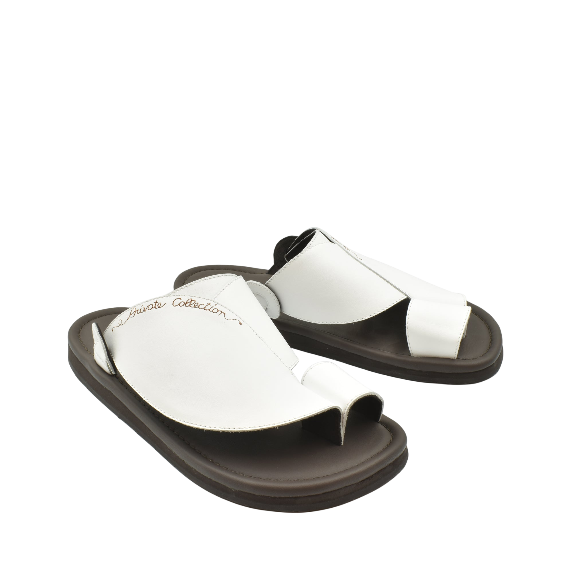 Piatto Vela Escribir Softcalf