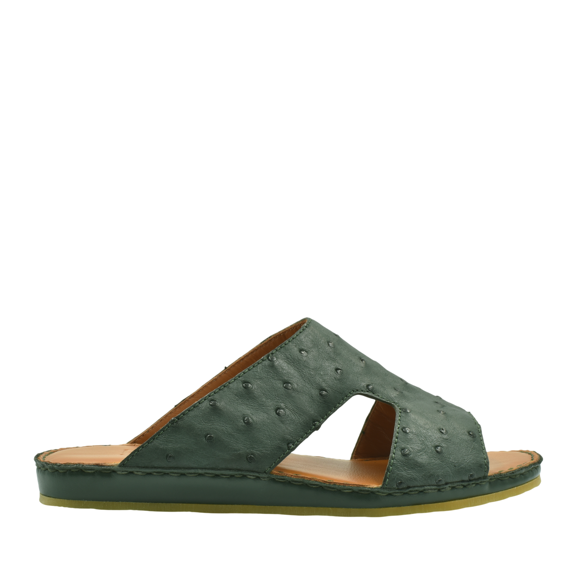 Westeen Arca Ostrich