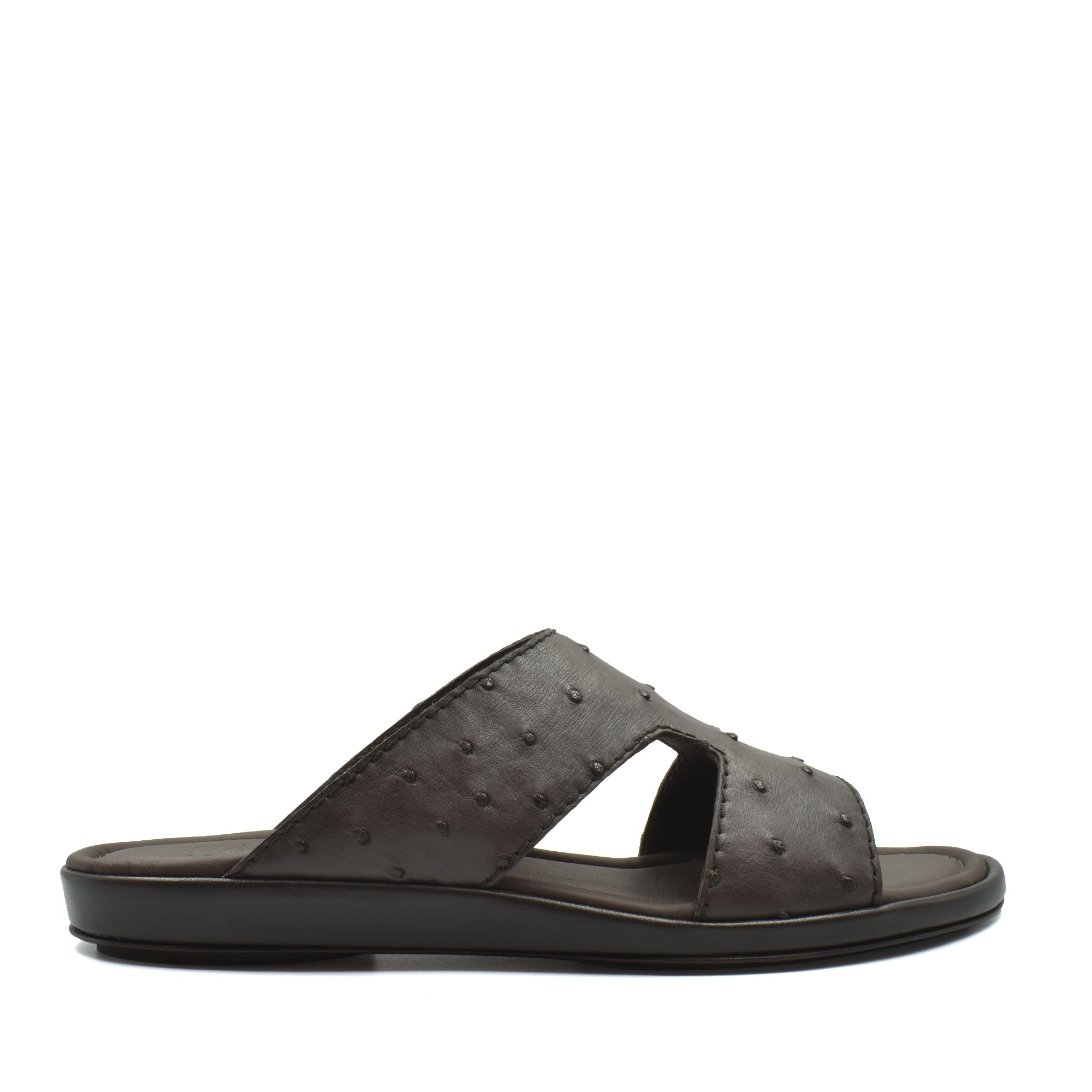 Prestige Arca Ostrich