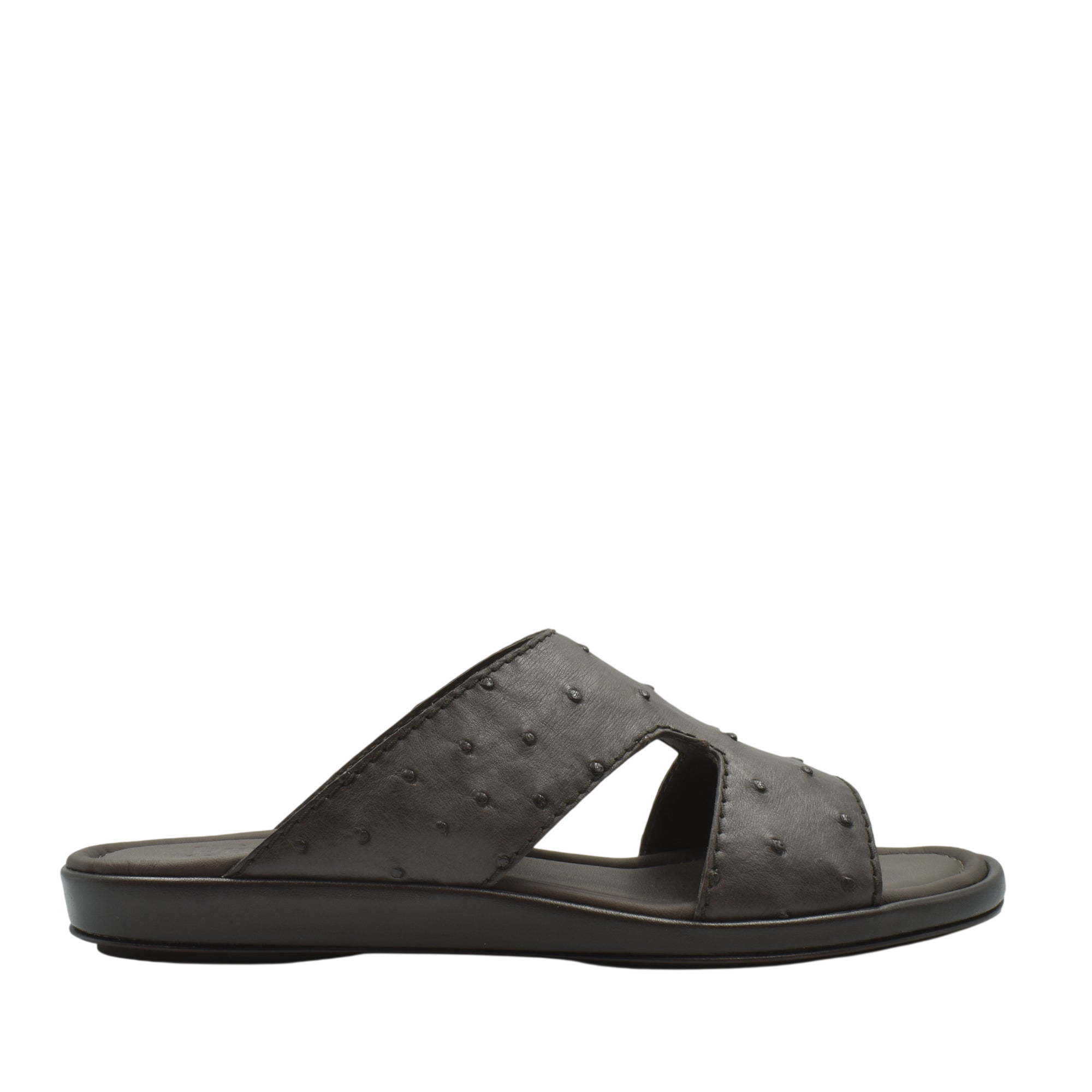 Prestige Arca Ostrich