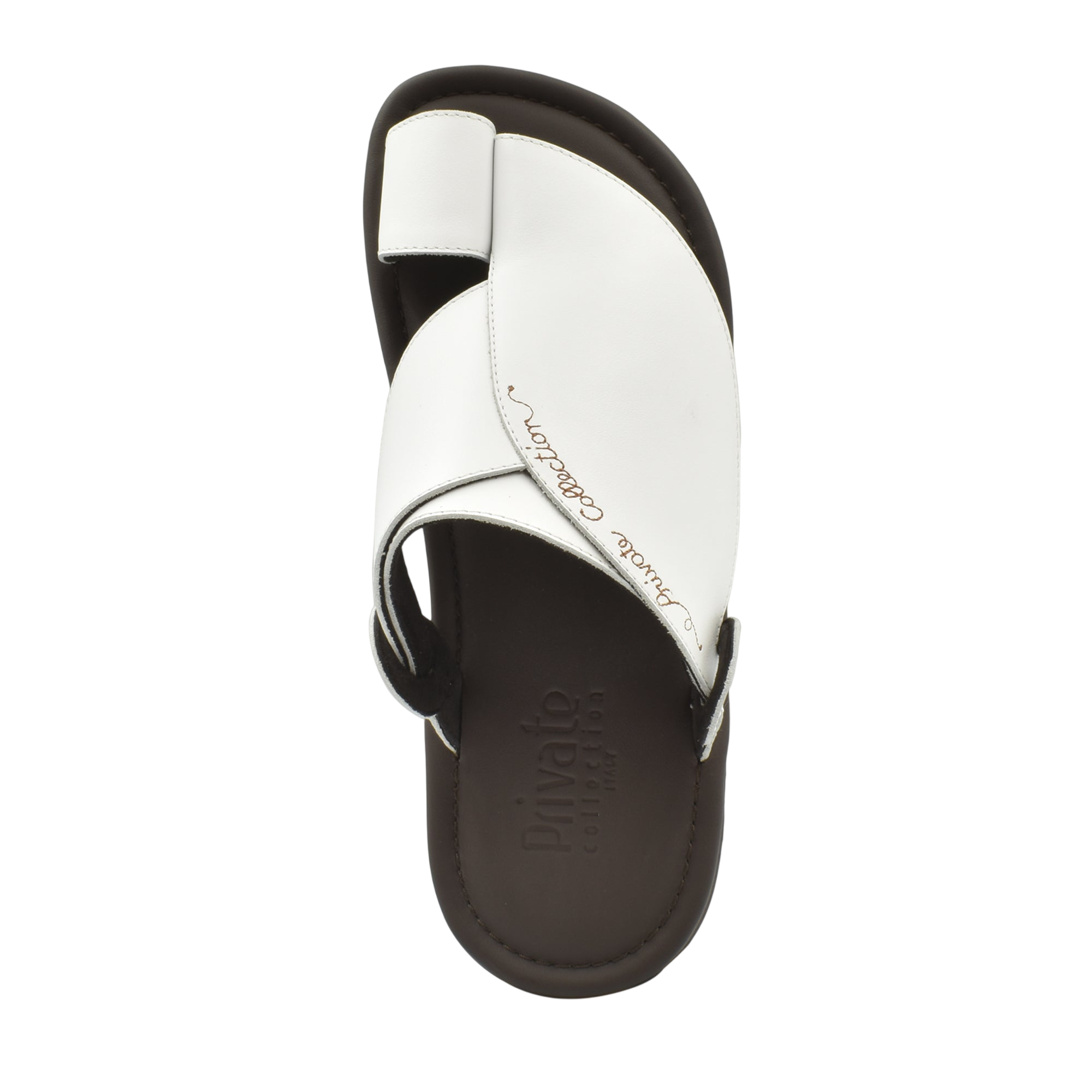 Piatto Vela Escribir Softcalf