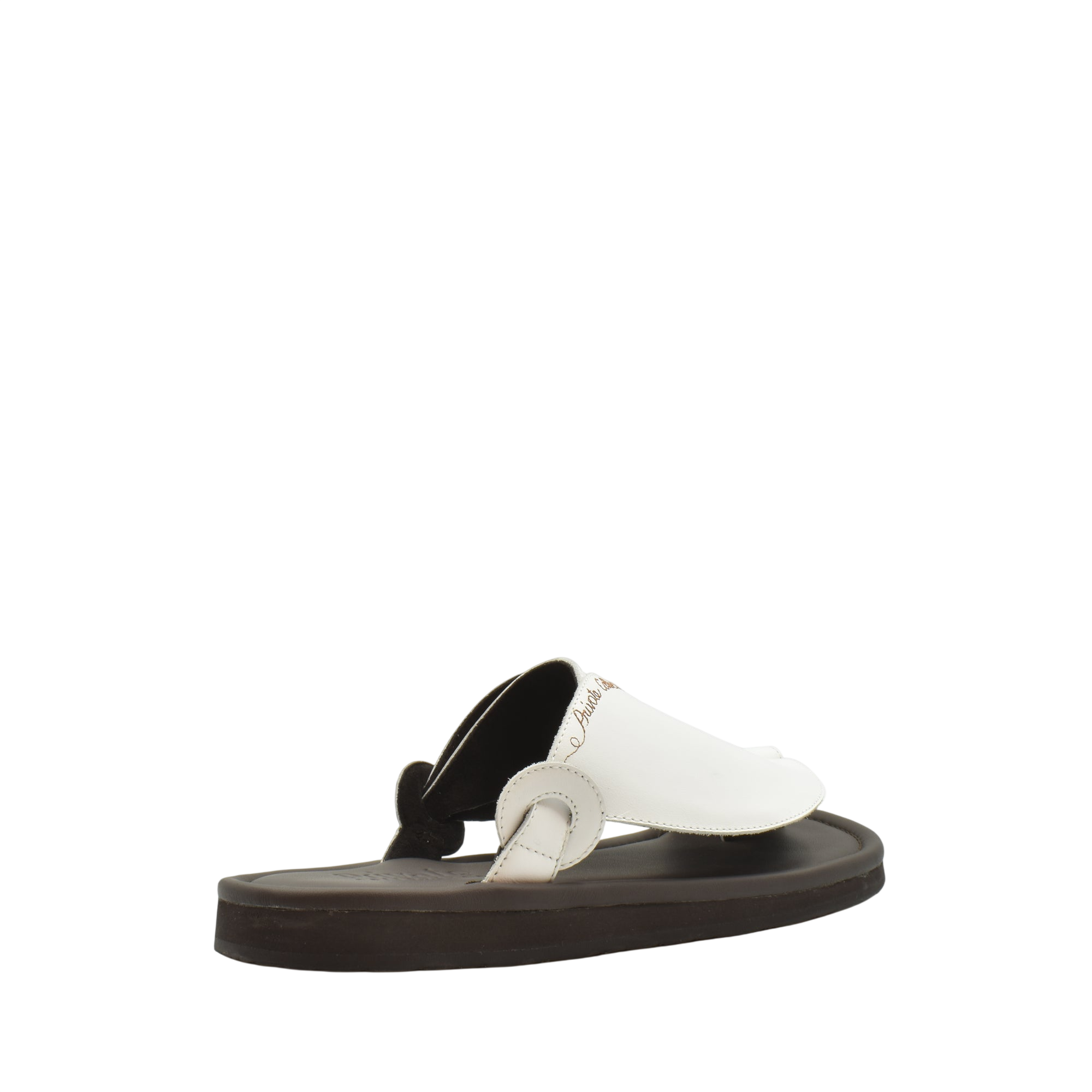 Piatto Vela Escribir Softcalf