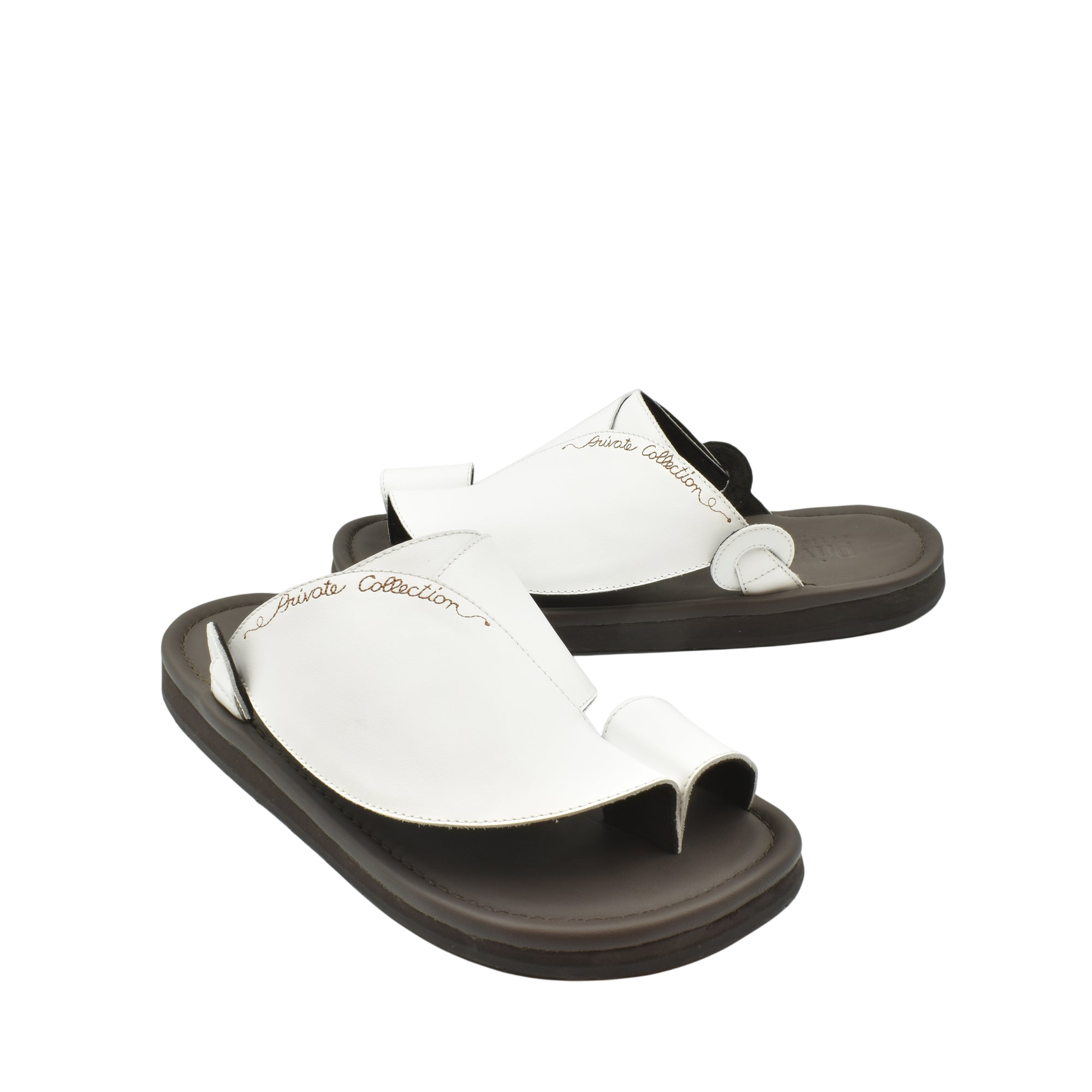 Piatto Vela Escribir Softcalf